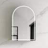 Arch Black Oak 600 LED Mirror Cabinet