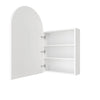Arch 500 x 800 Mirrror Cabinet