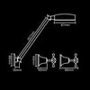York Brass Gold Shower Set With All Directional Arm