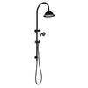 Abby Matte Black Twin Shower Set