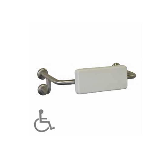Assist Backrest