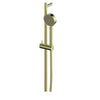 Gisele Rail Shower - Matte Black