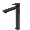 The Gabe Leva Matte Black Tall Basin Mixer