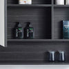 Mecca 700 Mirror Cabinet