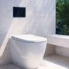 Neion Square Inwall Bidet intergated Pan