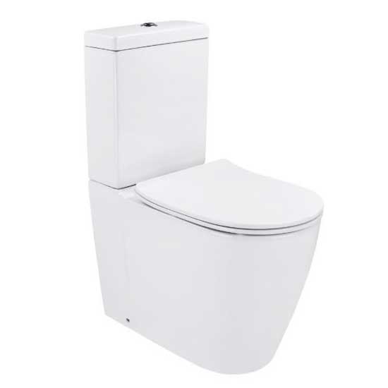 Synergii BTW Toilet