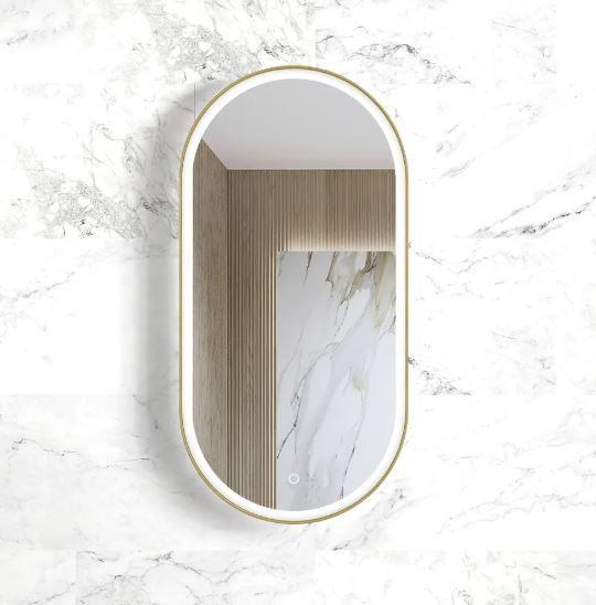 Oval Brushed Gold Frame 450 LED Mirror