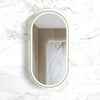 Oval Brushed Gold Frame 450 LED Mirror