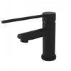 Issabella Care Basin Mixer