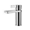 Madeira Basin Mixer