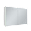 Xoni Mirror Cabinet - 900 x 700