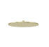 files/Meir_shower_300mm_gold.jpg