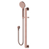 Nova II Shower on Rail Champagne