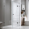 New Elexia Fully frameless showerscreen