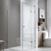New Elexia Fully frameless showerscreen