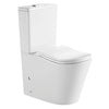 Ergonomic Toilet Suite