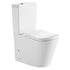 Ergonomic Toilet Suite
