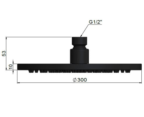 Meir 300mm Round Shower Head Shadow