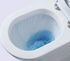 files/mikatoilet2.png