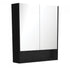 Matte Black Mirror Cabinet With Undershelf 750 - 1200mm - Bayside Bathroom