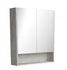 Industrial Edge Mirror Cabinet With Undershelf 750 - 1200mm - Bayside Bathroom