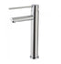 Issabella Care Tall Basin Mixer