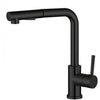 Miko Black Pull Out Sink Mixer