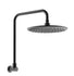 Loui Gunmetal Gooseneck Wall Shower